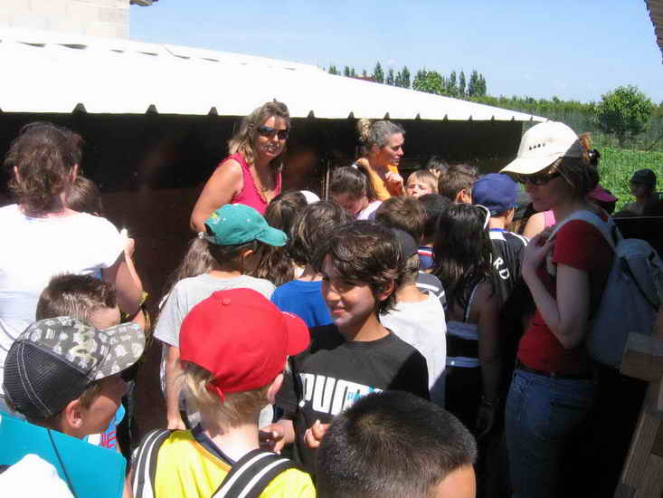 ferme_068.jpg