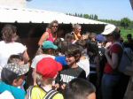 ferme_068.jpg