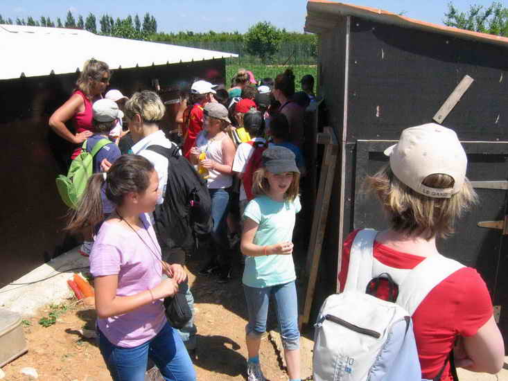 ferme_071.jpg