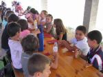 ferme_083.jpg