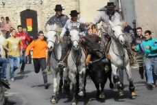 IMG_0470a_2_2_redimensionner_2.jpg