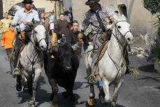 IMG_0474a_2_2_redimensionner_2.jpg
