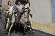 IMG_0478a_2_2_redimensionner_2.jpg