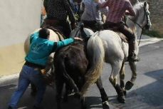 IMG_0481a_2_2_redimensionner_2.jpg