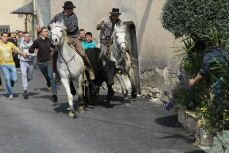 IMG_0489a_2_2_redimensionner_2.jpg