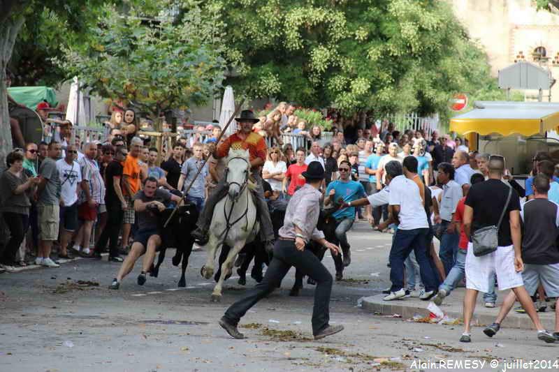 1156.jpg