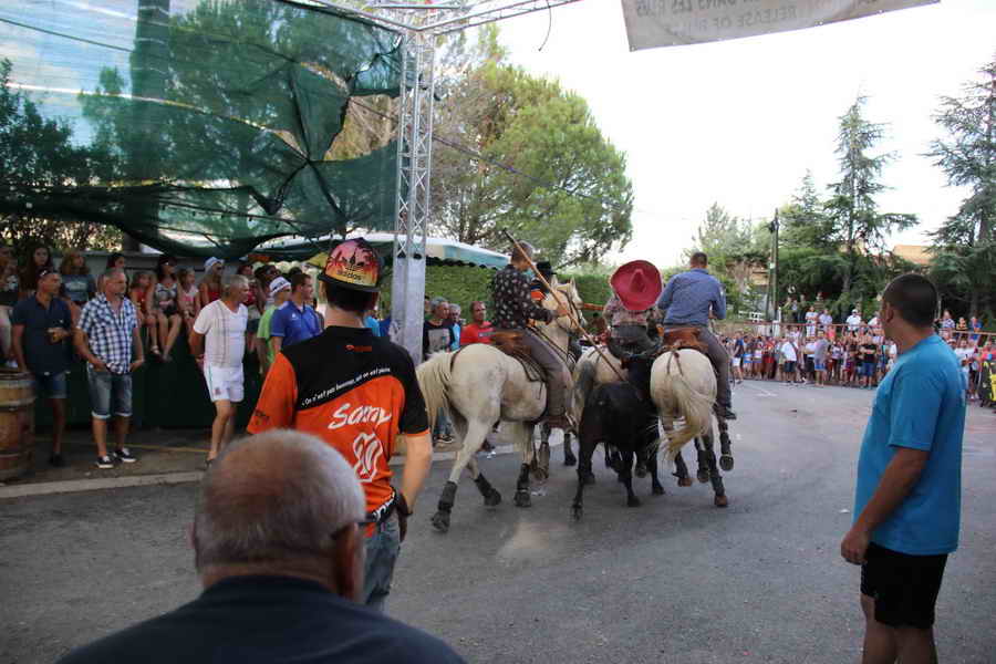t_014.jpg