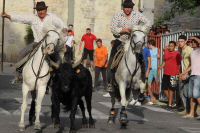 IMG_7410.JPG