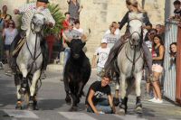 IMG_7416.JPG