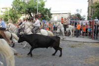 IMG_7421.JPG