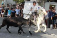 IMG_7425.JPG
