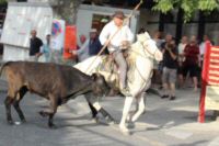 IMG_7426.JPG