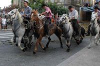 IMG_7438.JPG