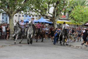 IMG_1549.JPG