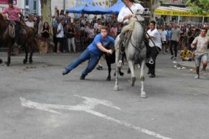 IMG_1554.JPG