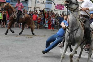 IMG_1556.JPG
