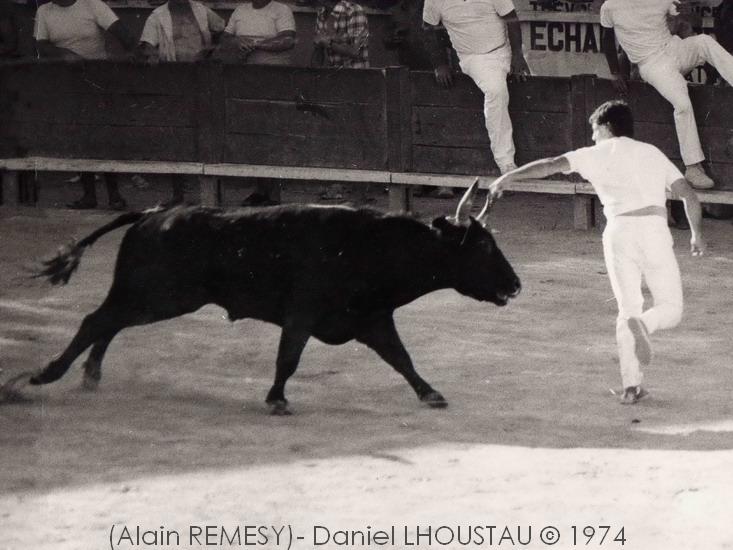 DUC_Perols1974_B3.jpg