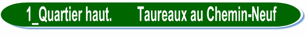 1_Quartier haut.        Taureaux au Chemin-Neuf